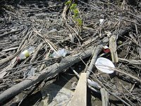 HaverstrawCleanup15- web